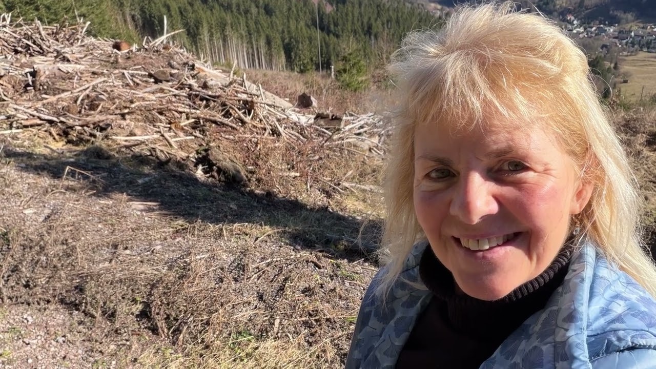 Schöffenhaus und Marienquelle 