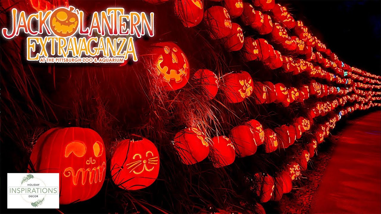 jack-o-lantern-extravaganza-carved-pumpkin-halloween-decorations
