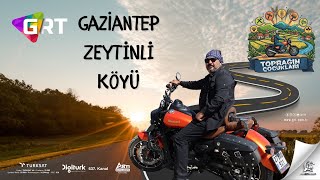 Toprağın Çocukları Zeytinli Mahallesi