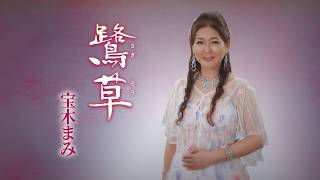 鷺草