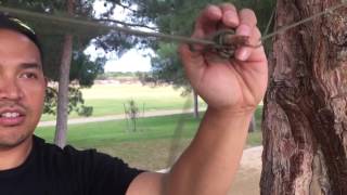 Survival toggle knots