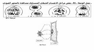 نموذج امتحان الفصل الاول |سلسلة تمارين مع الحلول النموذجية للسنة الاولى علوم