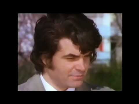 Murat Soydan | Kurt Dölü 1973 | Ayşen Cansev | Film Fragman