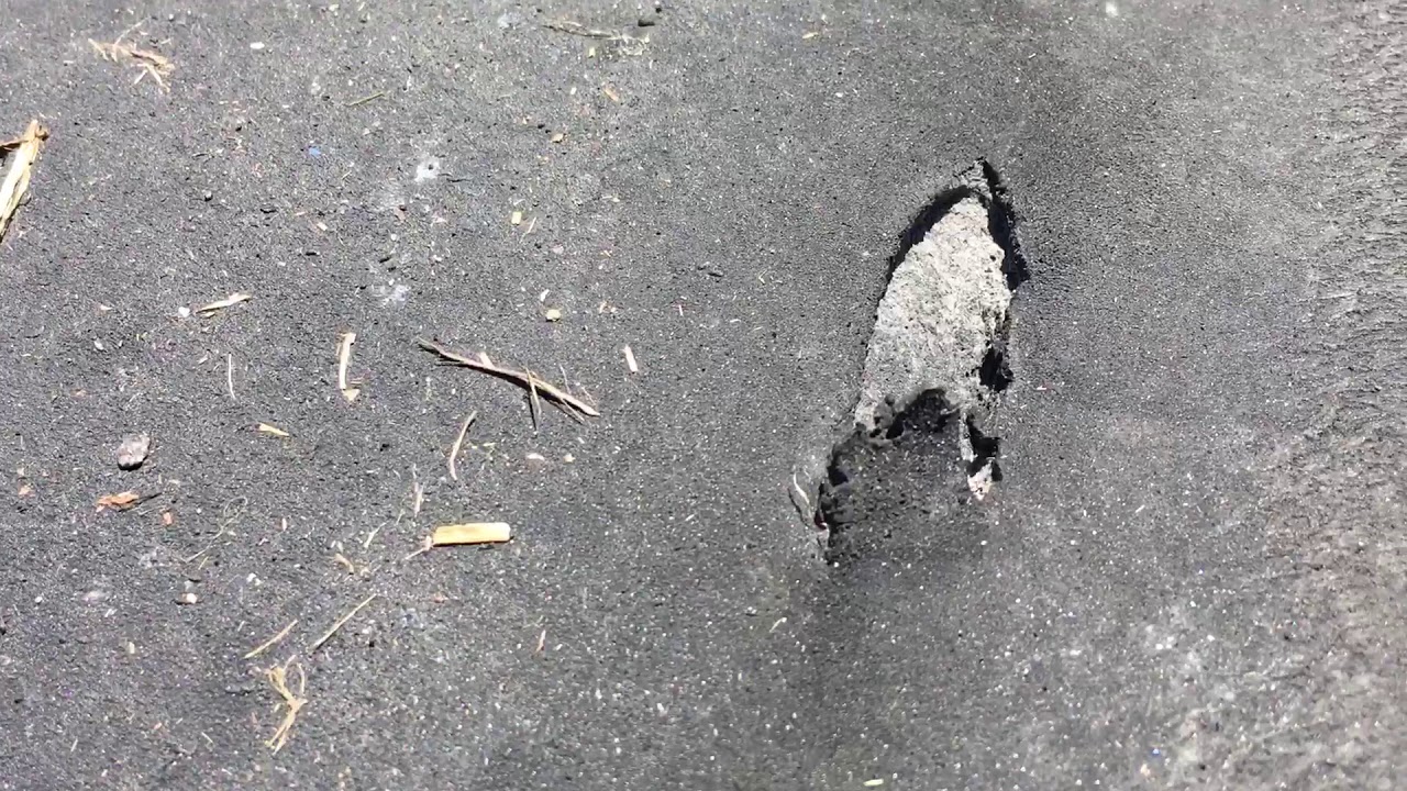 Nitro Harley Racer Dennis Fisher Chunks His Goodyear Racing Slick