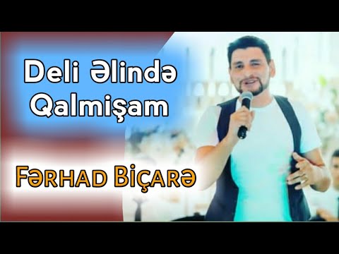 Ferhad Bicare & Tural Seda - Deli Elinde Qalmisam 2016