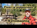 Pieni ja pippurinen autiomaatila