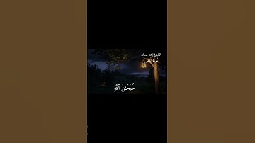 سورة الحشر بصوت القارئ محمد شعبان /تدبروا الآيات🤍🌱