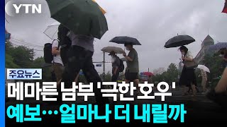 YTN