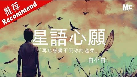 白小白星語心願mp3