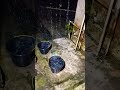 Fall Asleep Fast, Beat Insomnia & Stress ⛈️Intense Thunderstorm Rain on Tin Roof & Powerful Thunder