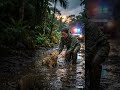The Lion Cub She Refused to Leave Behind🦁 | ion Cub Rescue That Touched Millions