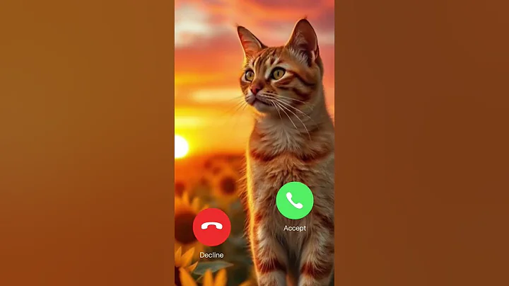 Video 10351321: cat meowing cute adorable, cat meow adorable funny, adorable fluffy cat