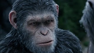 猿が進化して人間は退化する！／映画『猿の惑星:聖戦記(グレート・ウォー)』予告編