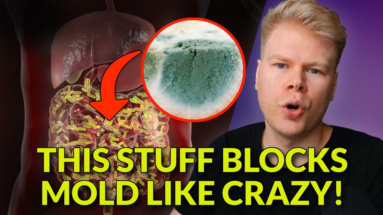 Этот пробиотик предотвращает заражение организма плесенью (новые исследования).