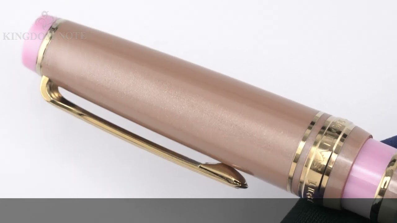 SAILOR セーラー 万年筆 松坂屋名古屋店限定 プロフェッショナルギア