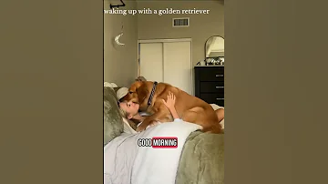 Dogloverspsychology Ilovemydog Animals Dog Petstagram Dogslife Instagood Happydog Puppy 