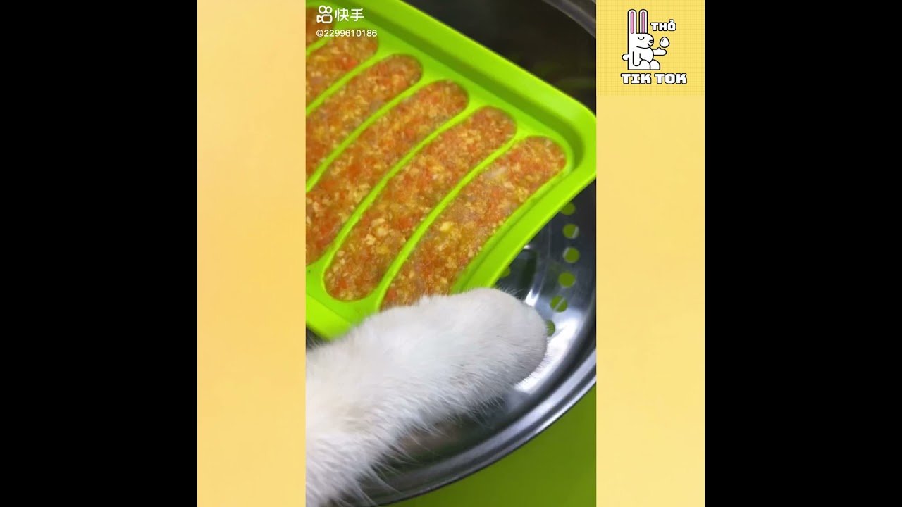 A cat with amazing cooking skills 