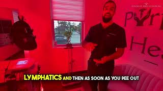 Zenlight Body Scuplting- Contour Light Explained