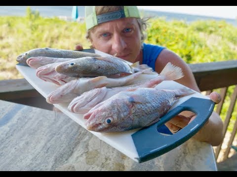 How to Catch Clean and Cook Croaker - Awesome Croaker Recipe - YouTube