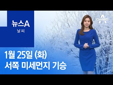 [날씨]내일 국외 <strong>스모그</strong> 유입…서쪽 미세먼지 기승