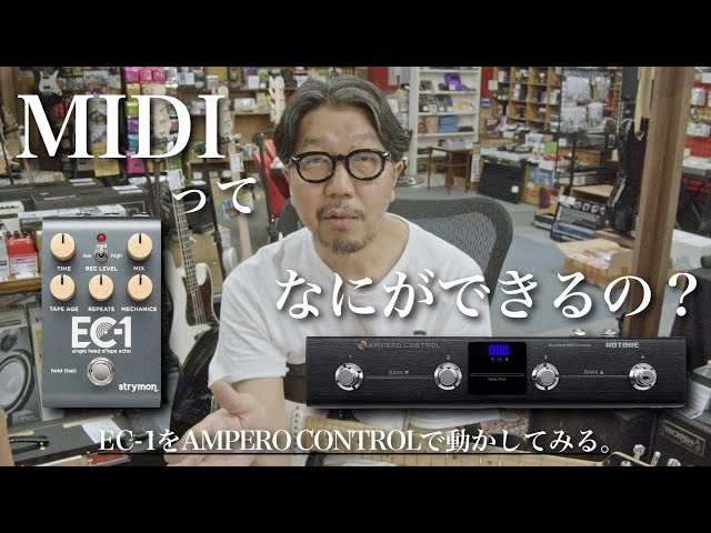 Strymon EC-1 EC1 ほぼ未使用美品 Strymon EC-1 EC1 ほぼ未使用美品 strymon | EC-1 | dTape エコー