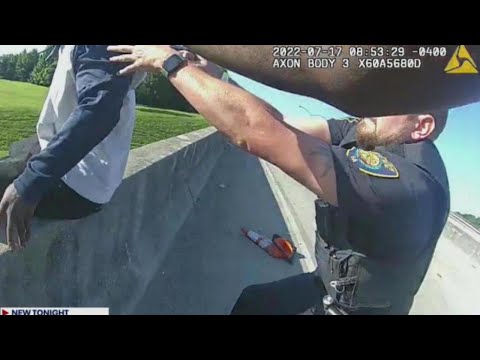 Video shows officers and civilian help man in distress on I-85 overpass