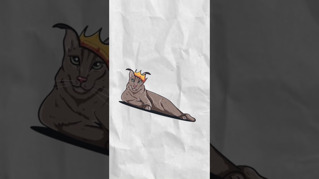 Huh cat meme explained! 