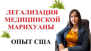 ЛЕГАЛИЗАЦИЯ КАННАБИСА В УКРАИНЕ - мнение адвоката