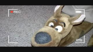 I Love My Scooby-Doo Slippers Dad Inherits Kids Scooby Doo Slippers- Loves Them