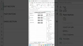 Common Excel Shortcuts #excel  #cut #copy #past #undo #shorts