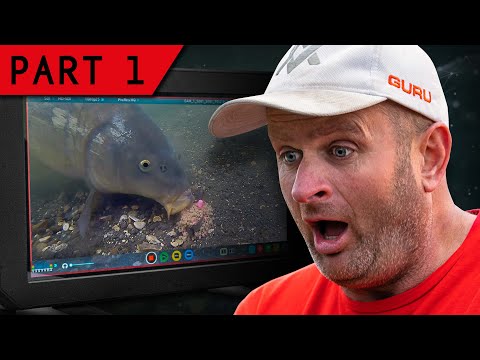 Fishing Gurus Underwater Episode 1 - Hybrid Feeder