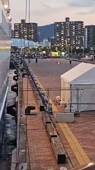 Takamatsu Gangway duty #asukaii #cruise #travel #cruiseship #cruisehumor #automobile #challenge #fun
