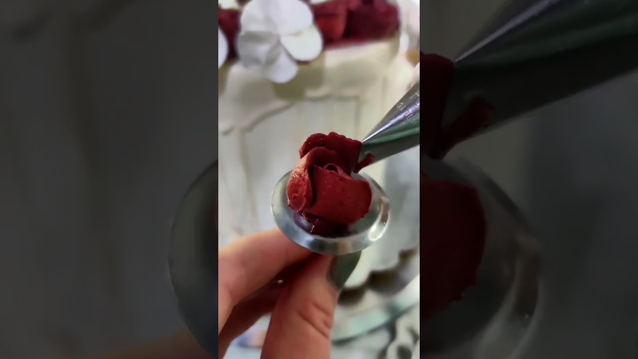 Rose in the making with whipped cream.