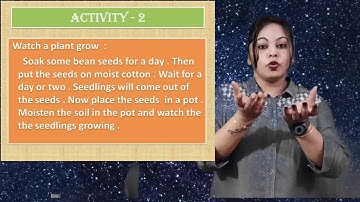 Growing up (PART - 2)