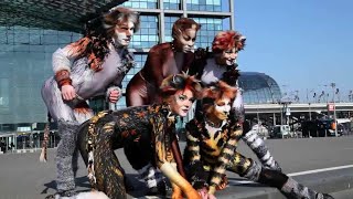 CATS - 2nd German Tour / Berlin - Press Shoot (2011) by chrissi2810 996 views 2 years ago 1 minute, 52 seconds