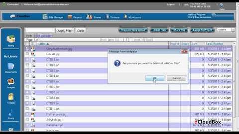 Web Client - Delete Files