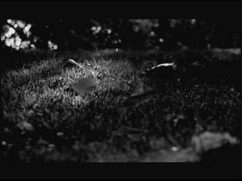 Tuuli Promo directed by Chris and Rankin