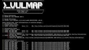 Unleashing the Power of Vulmap: Exploring an Open-Source Local Vulnerability Scanner