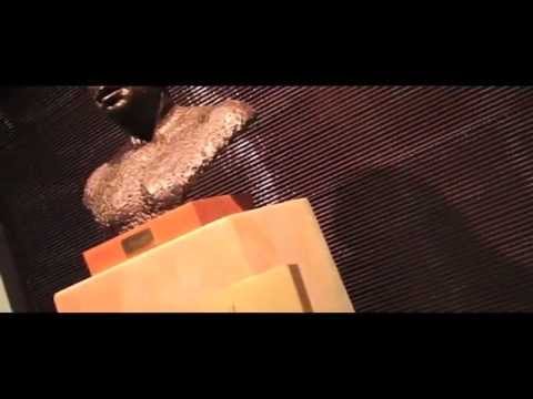 Chris Travis - Absorbing Energy (Official Music Video)