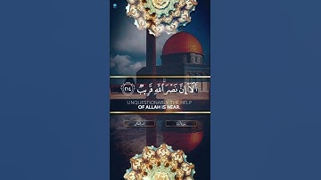 متى نصر الله إلا أن نصر الله قريب #ناصر_القطامي #سورة_البقرة #حالات وتساب ايات من القران الكريم