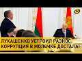 Лукашенко о схемах в молочке: МАЛО НЕ ПОКАЖЕТСЯ! Отвечать будете все жестоко, ОБНАГЛЕЛИ ДО КРАЙНОСТИ