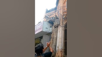 monkeys in Vrindavan steal goggles of tourists #vrindavan #monkey #funnymonkey #mathura #motovlog