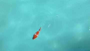 Leetcode Biweekly Contest 138 Free Solutions #leetcode #coding #leetcodecoding #contest #codeforces