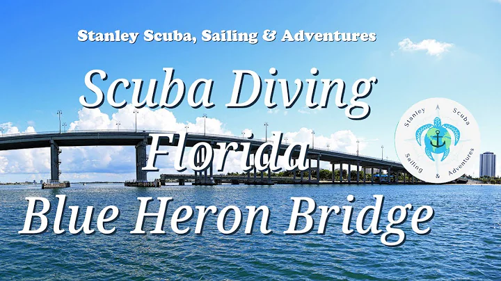 Scuba Diving Florida's Blue Heron Bridge June 2022
