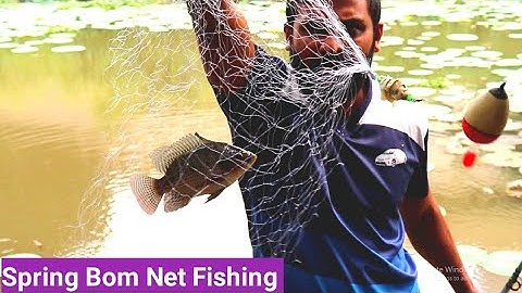 Best Spring Bom net Fishing | Fishing | Sri Lanka fishing | මාලු අල්ලන අලුත් ක්‍රමය