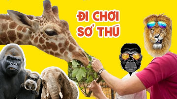 Bé đi chơi công viên Thủ Lệ ❤ Bé Đi Tham Quan Vườn Bách Thú ❤ Bé Sâu khám phá các con vật tại Sở Thú