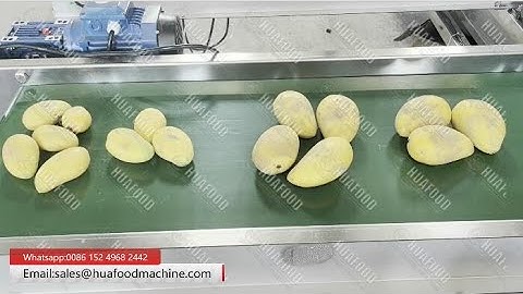 Mango Fruits Sorting And Grading Machine