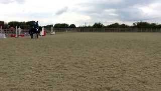 Donny flatwork