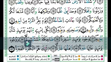 سورة عبس  مكررة اية باية للحفظ تلاوة حمزة الجزائري رواية ورش عن نافع