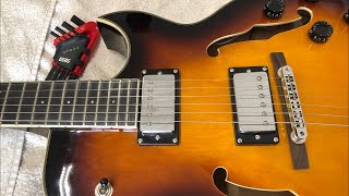 Perfect setup for a semi acoustic guitar (Eko)